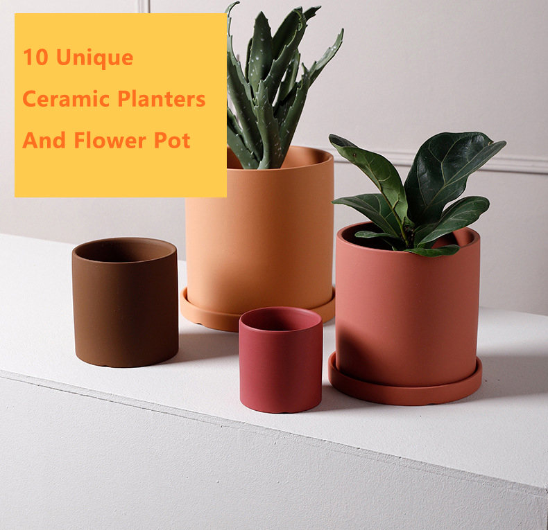 10 Unique Ceramic Planters And Flower Pot