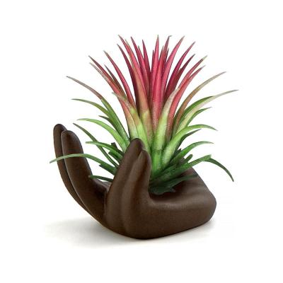 unusual Hand Shape Small Container Planter Pot Plant thumbnail