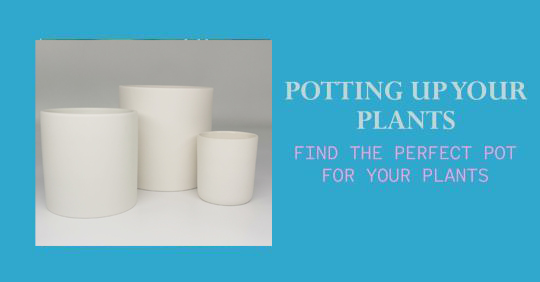 Types Of Plant Pots
