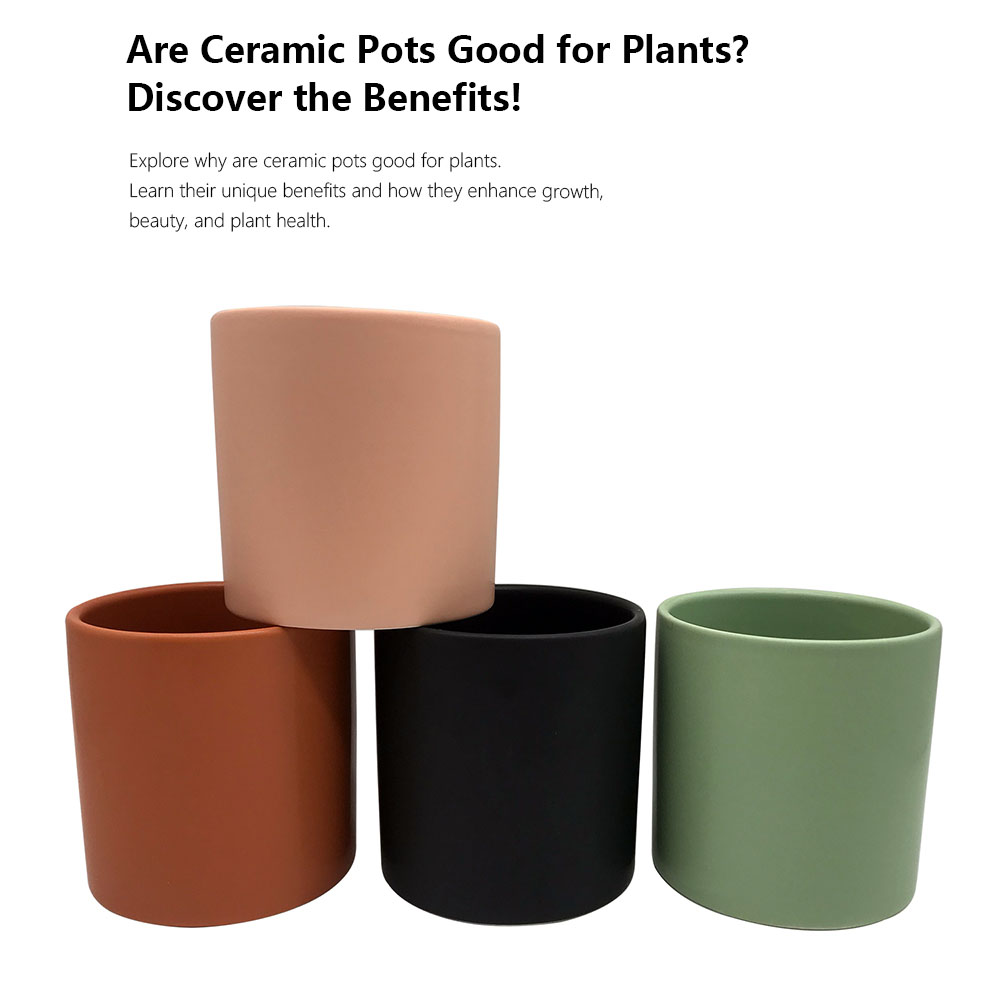 ceramic planter