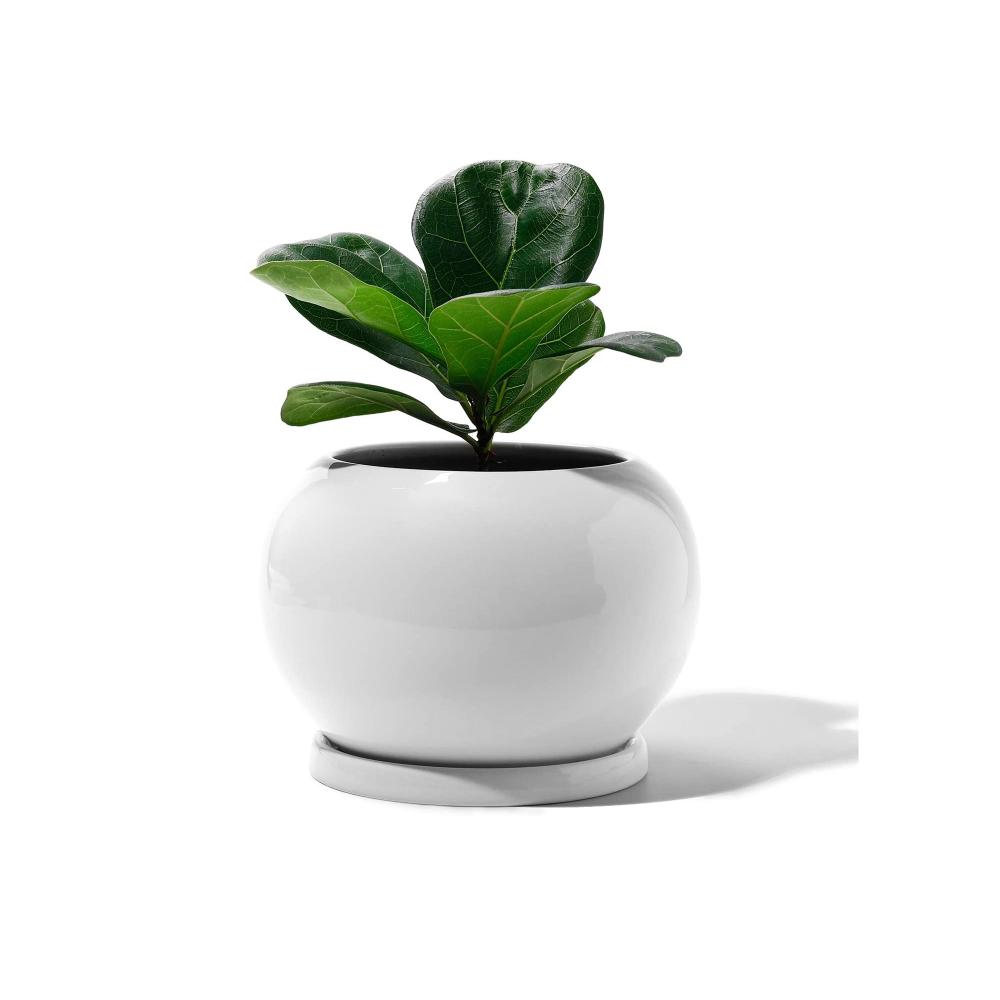plant flower pot with Drainage Hole and Saucer picture 2