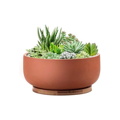 unique black terracotta bowl planter pot picture 3