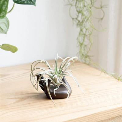 unusual Hand Shape Small Container Planter Pot Plant picture 2