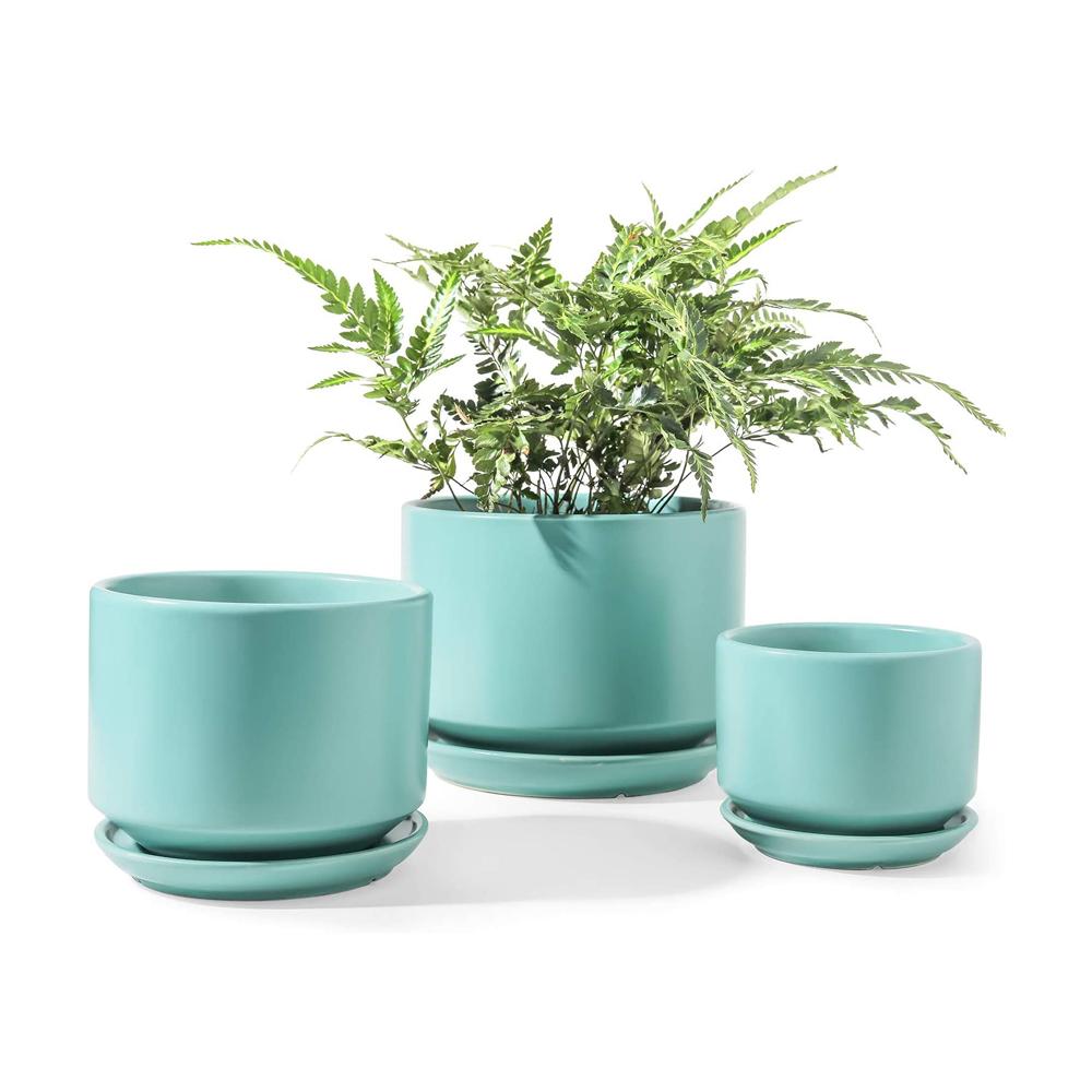 succulent flower pot planter set with tray saucer picture 2