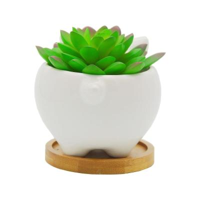 ceramic Pig shaped succulent flower planter plant pot picture 4