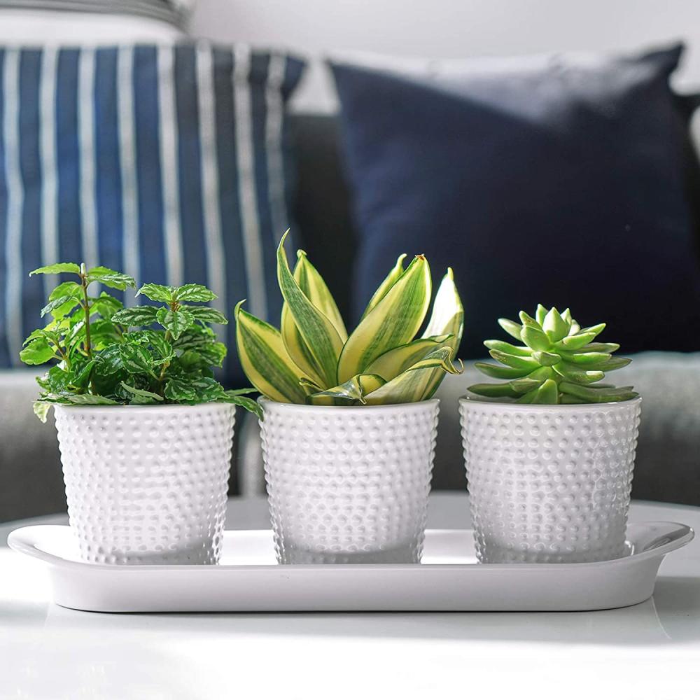 outdoor Hobnail Textured Kitchen Ceramic Herb Planter Pots picture 3