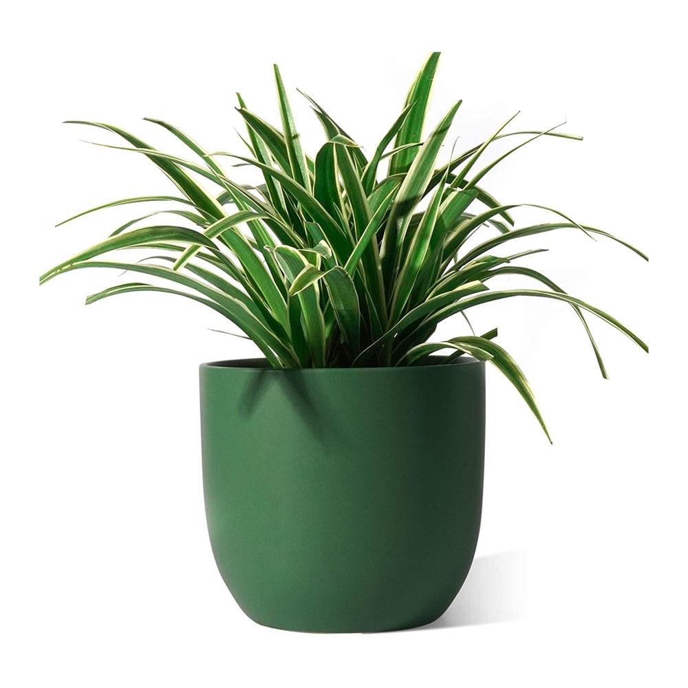Indoor Outdoor Spring Ceramic Green Planter Plant Pot