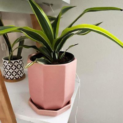 pink design ceramic Succulent planter plant flower pot picture 4