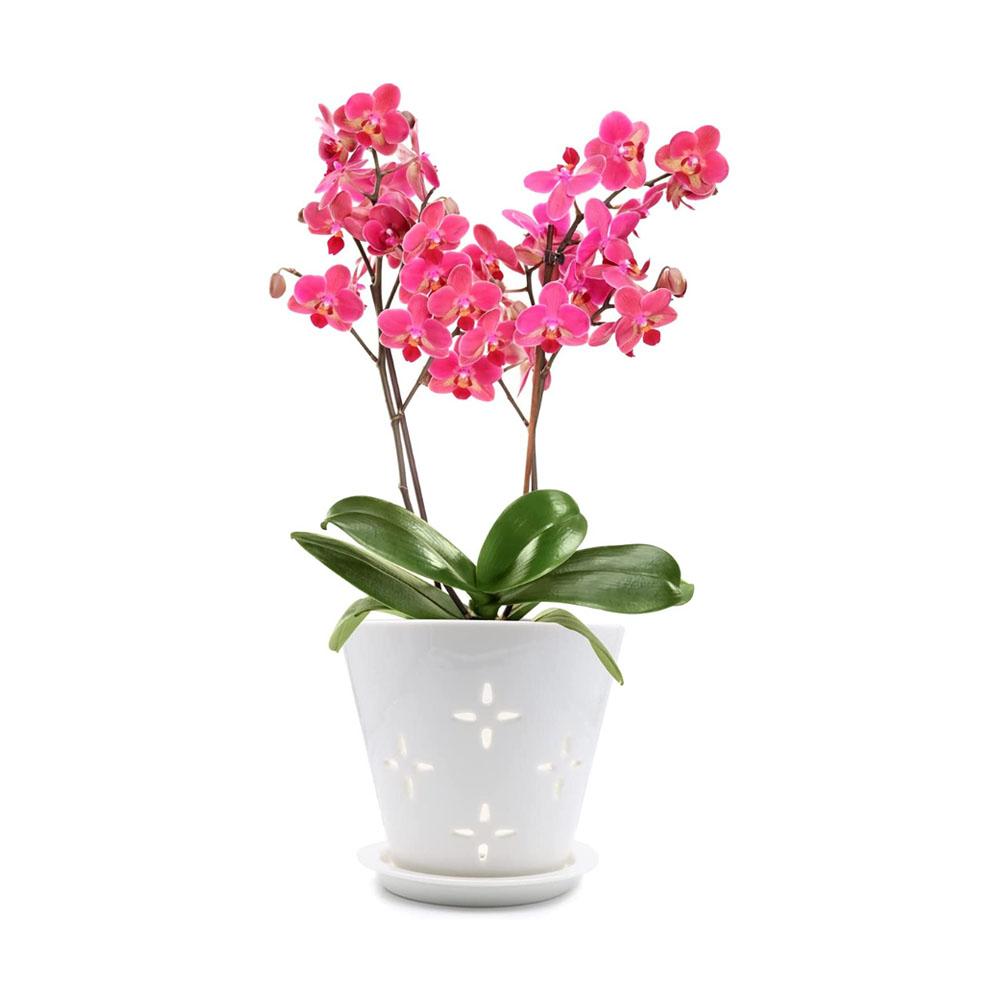 best ceramic clay orchid planter pot with hole picture 1