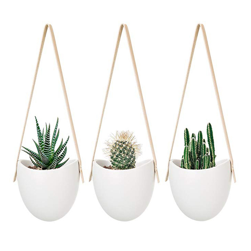Hanging planters