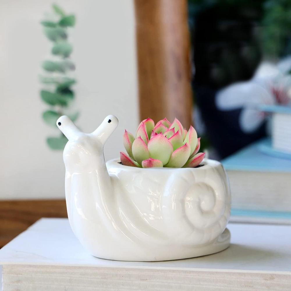 small ceramic snail planter succulent plant pot picture 2