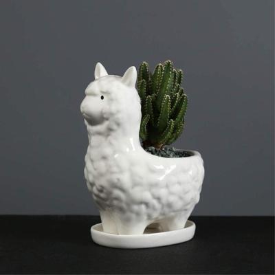 cute animal llama Alpaca ceramic planter plant pot picture 2