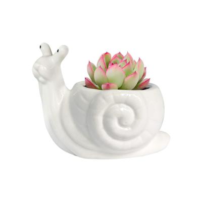 small ceramic snail planter succulent plant pot thumbnail