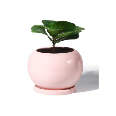 plant flower pot with Drainage Hole and Saucer thumbnail