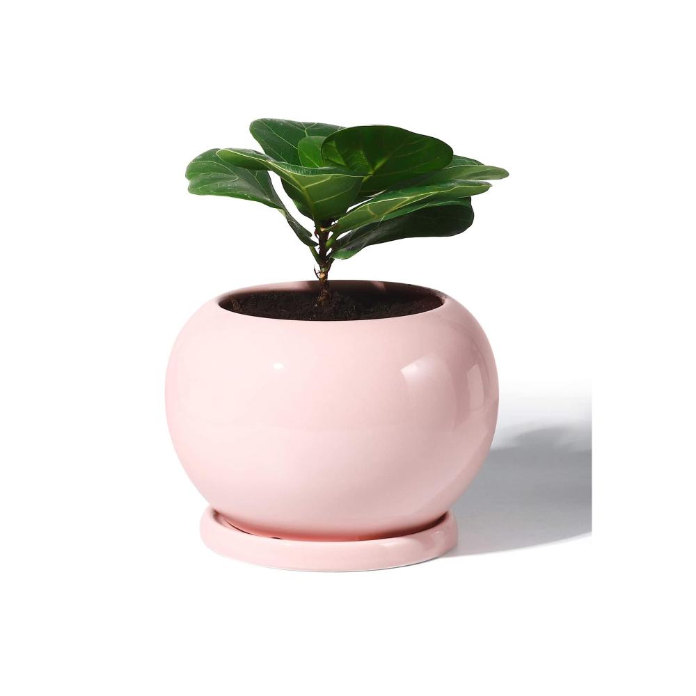 Ball Big Shaped Indoor Ceramic Planter Plant Pot