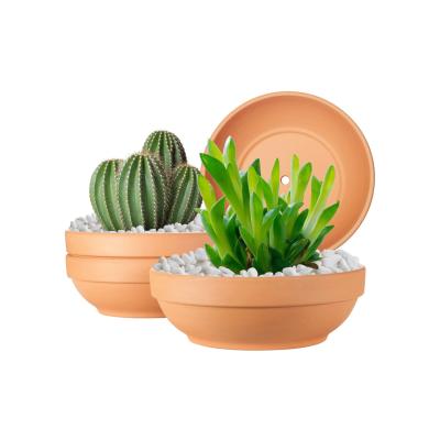 terracotta shallow low bowl succulent planter flower pot picture 1