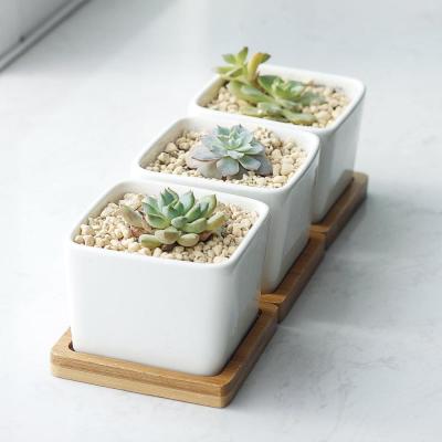 geometric ceramic succulent planter manufacturing with bamboo trays picture 2