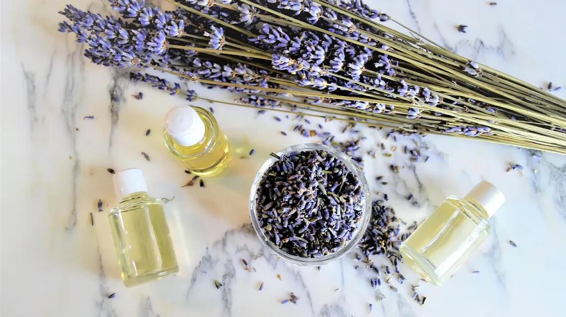 Lavender – For Calm and Relaxation 