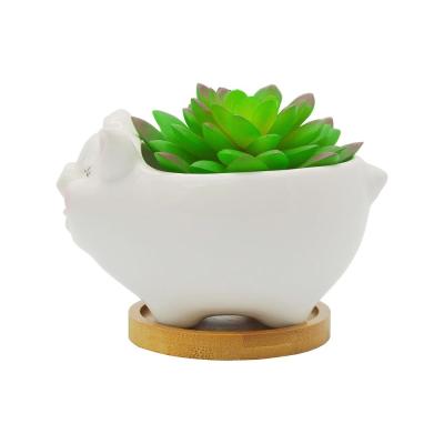 ceramic Pig shaped succulent flower planter plant pot picture 2