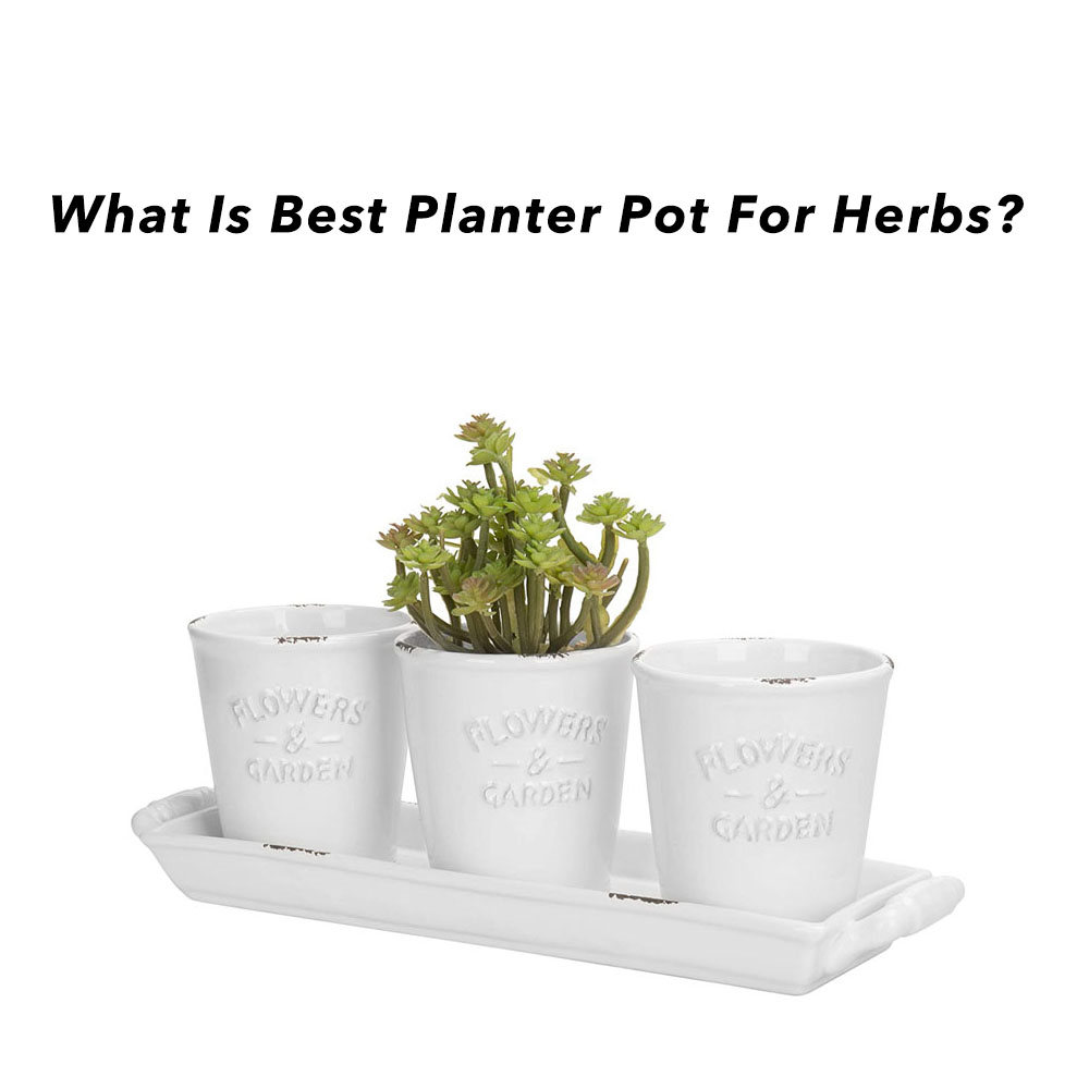 What is Best Planter Pot For Herbs?