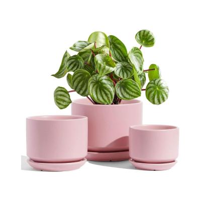succulent flower pot planter set with tray saucer picture 3