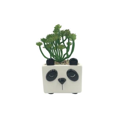 cute cheap indoor panda garden cartoon ceramic flower planters plant succulent pots suppliers manufacturer