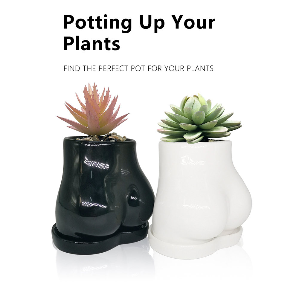 Potting Up Your Plants