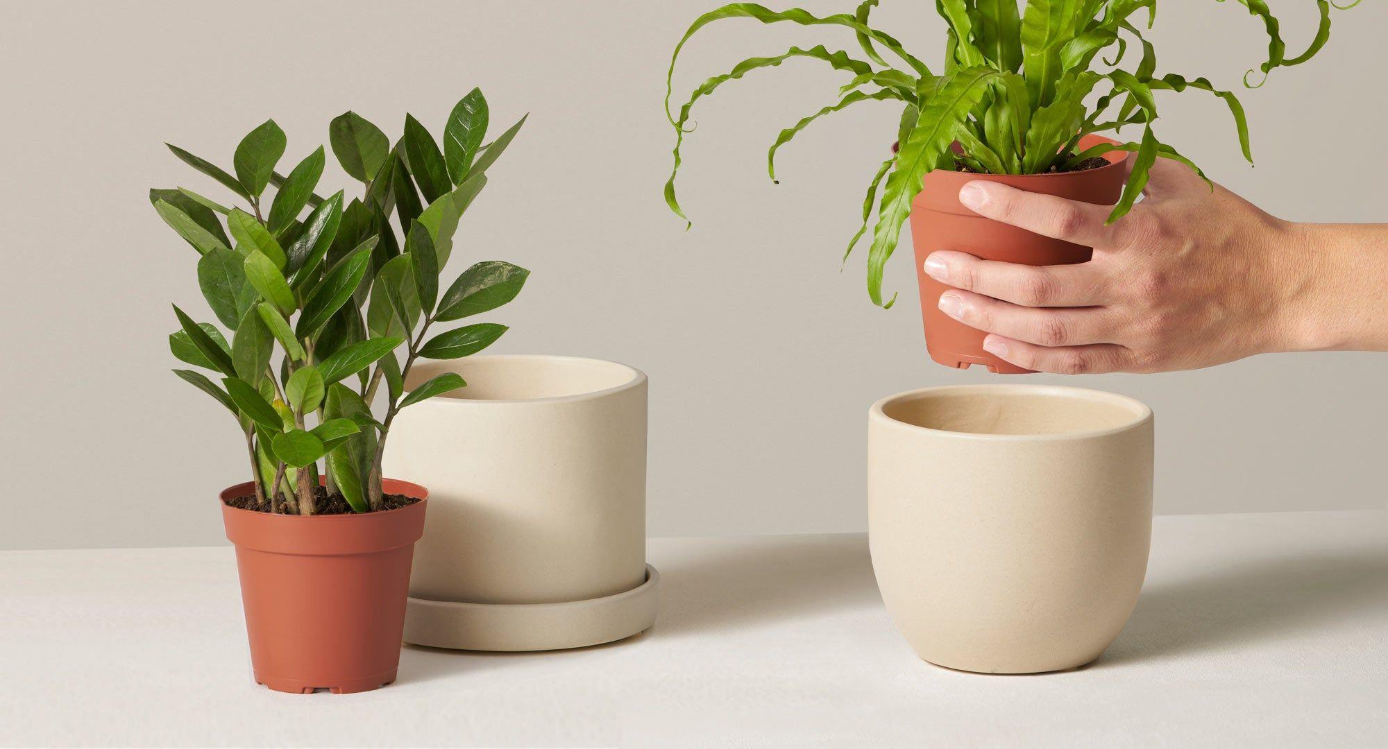 matte ceramic planter