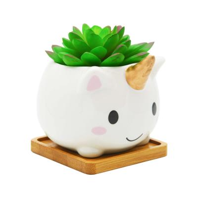 succulent flower planter plant pot with bamboo tray picture 2