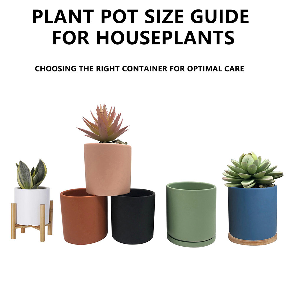 Plant Pot Size Guide For Houseplants : Global Reach Ceramic