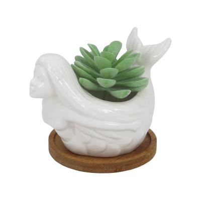 succulent flower planter plant pot with bamboo tray picture 1