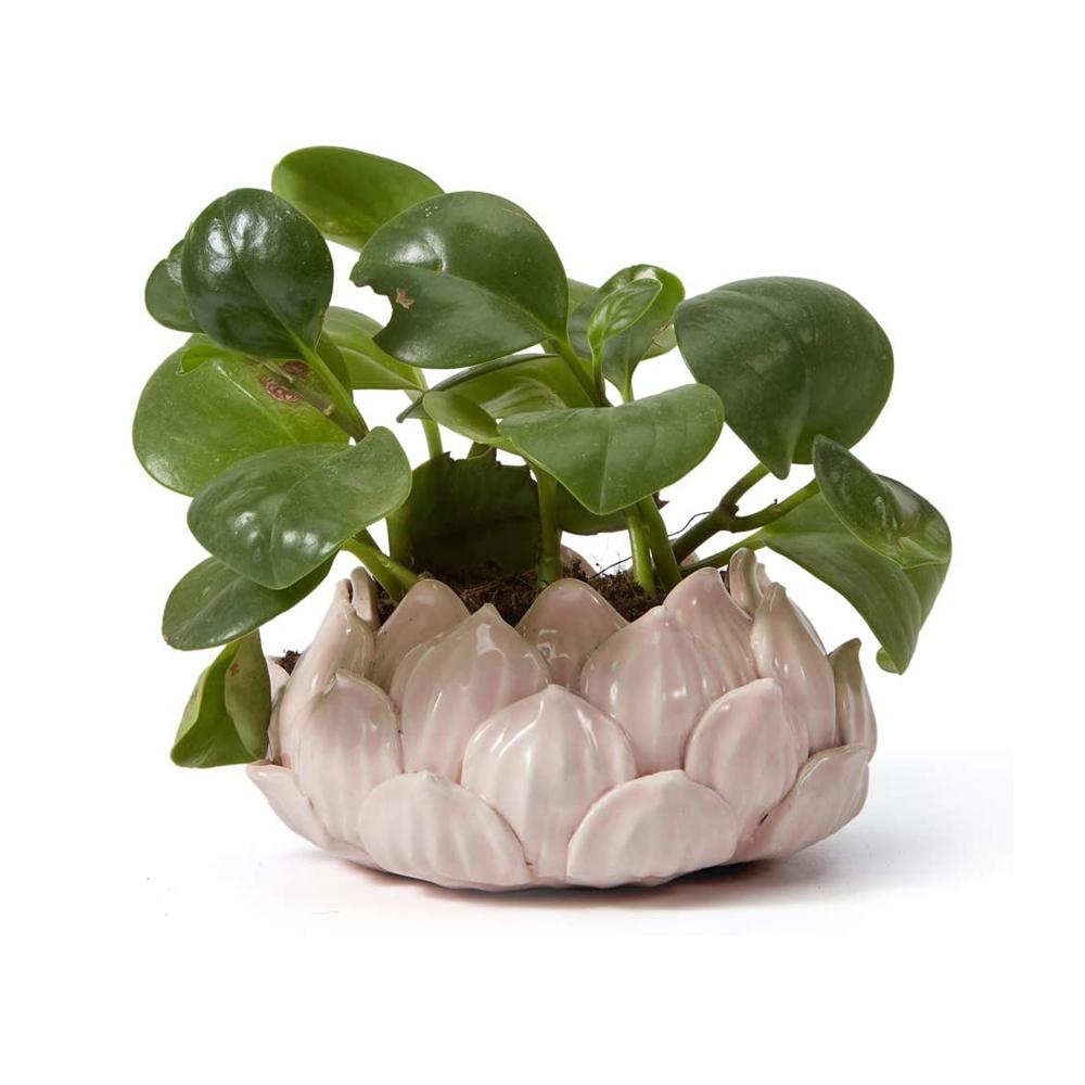 eco friendly Pink lotus shaped Ceramic Succulent Planter Flower Pot Indoor Cacuts Pot For Home Decor Table
