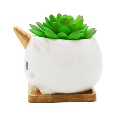 succulent flower planter plant pot with bamboo tray picture 3