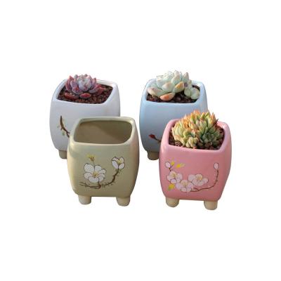 japanese style primrose ceramic planter plant flower pot thumbnail