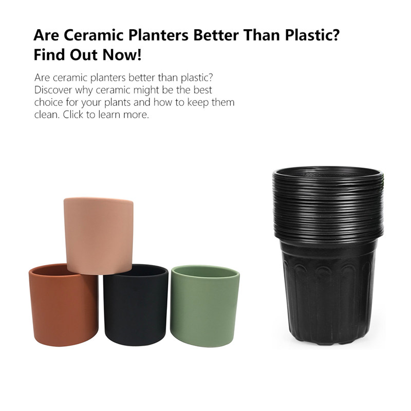 Ceramic Planter Vs Plastic Planter