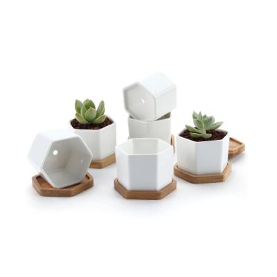 ceramic succulent Planter Plant Pot with bamboo tray picture 1