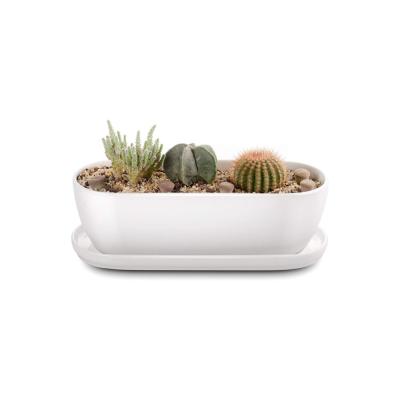 herb garden ceramic window box planter thumbnail