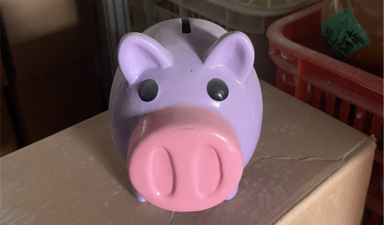pig ceramic piggy bank
