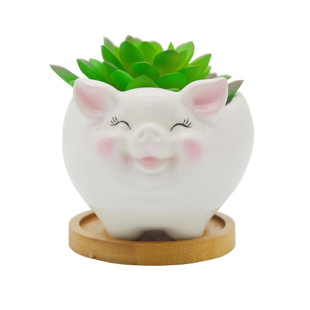 ceramic Pig shaped succulent flower planter plant pot picture 3
