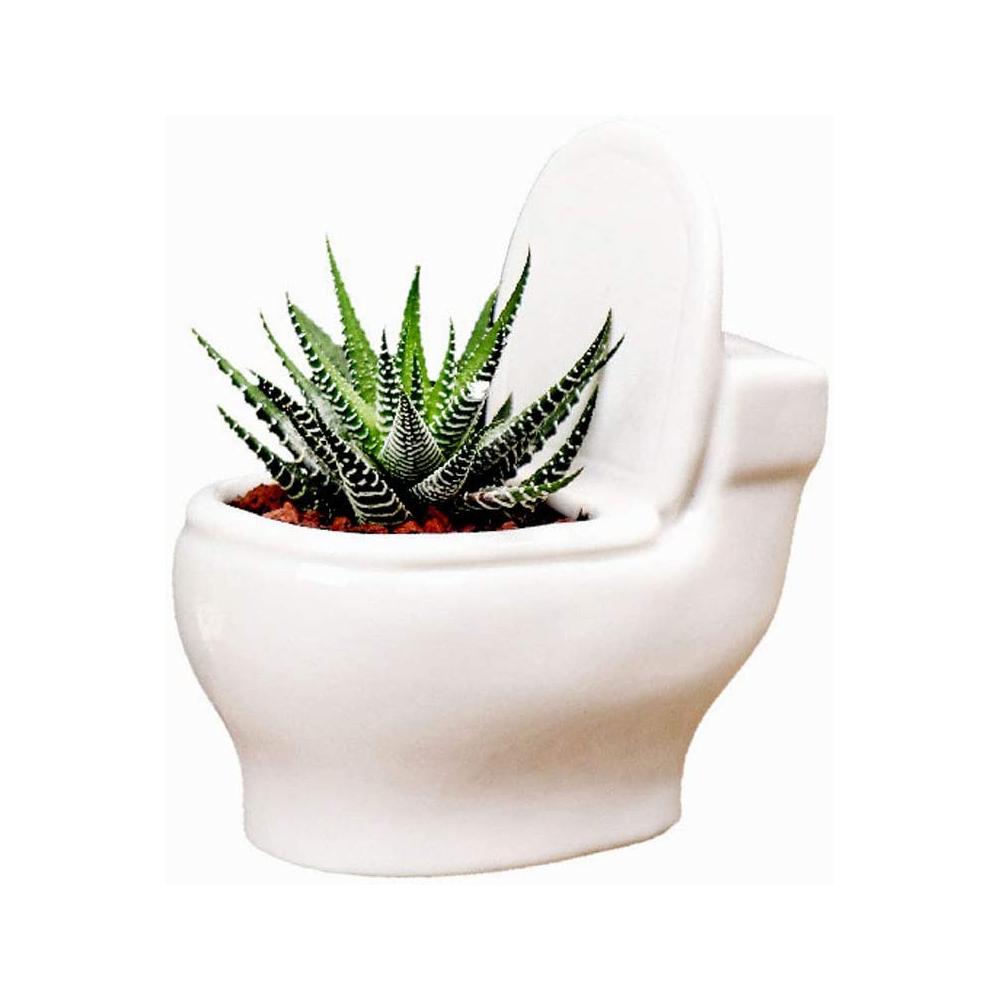 Unusual Funny Oddish Ceramic Toilet Planter Plant Pot