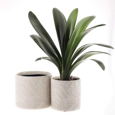 Garden Flower Pot Indoor and Outdoor Plant Containers thumbnail