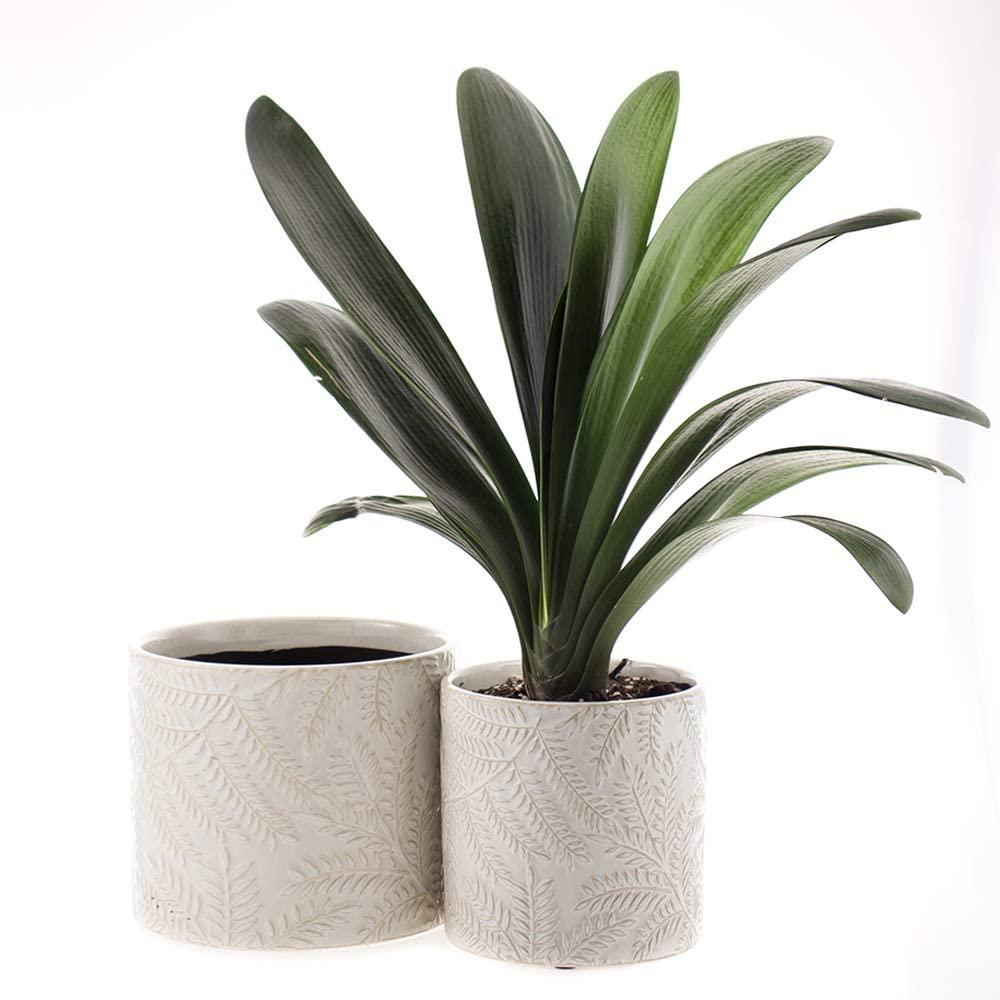 Garden Flower Pot Indoor and Outdoor Plant Containers picture 1
