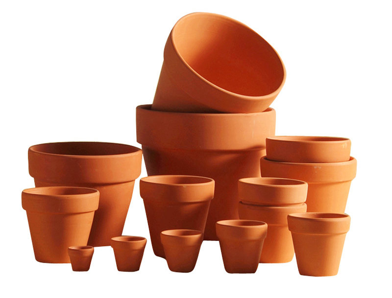 Terracotta Cactus Pots