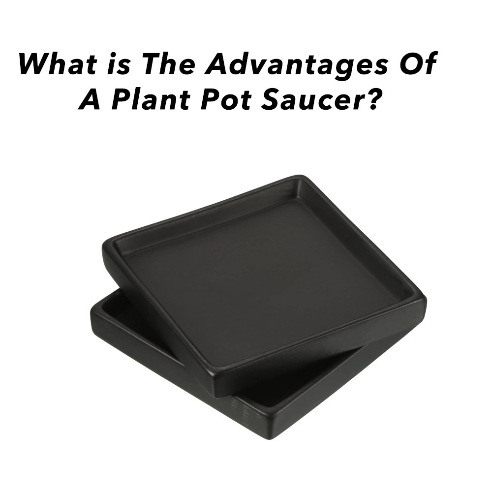 What is the Advantages of a plant pot saucer?