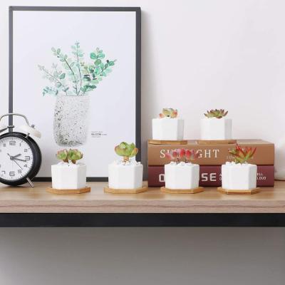 ceramic succulent Planter Plant Pot with bamboo tray picture 2