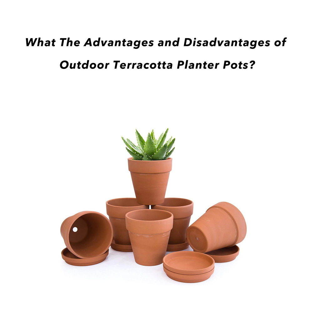 What The Advantages and Disadvantages of Outdoor Terracotta Planter Pots?