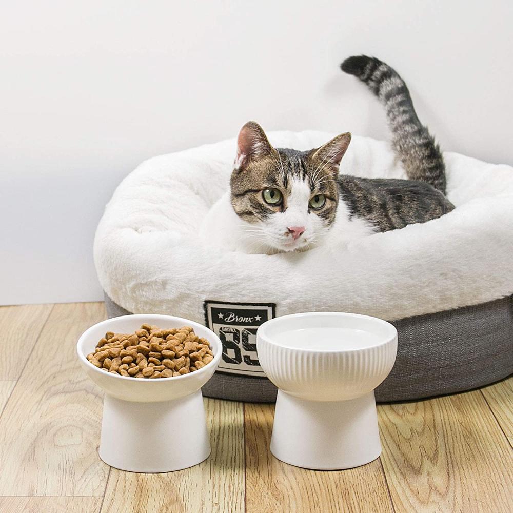 modern custom ceramic elevated raised pet supplies dog cat dish water food feeding bowl stand