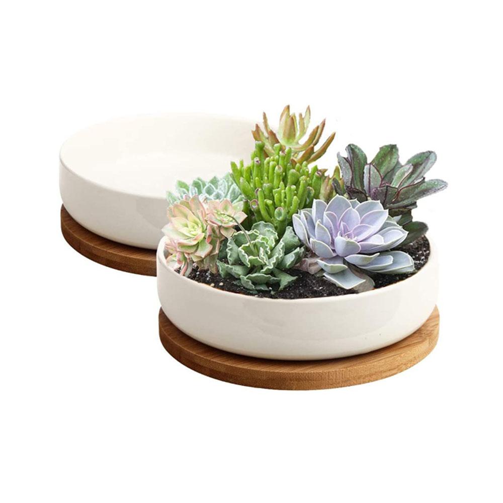 Ceramic Succulent Planter Bowl Pot With Drainage