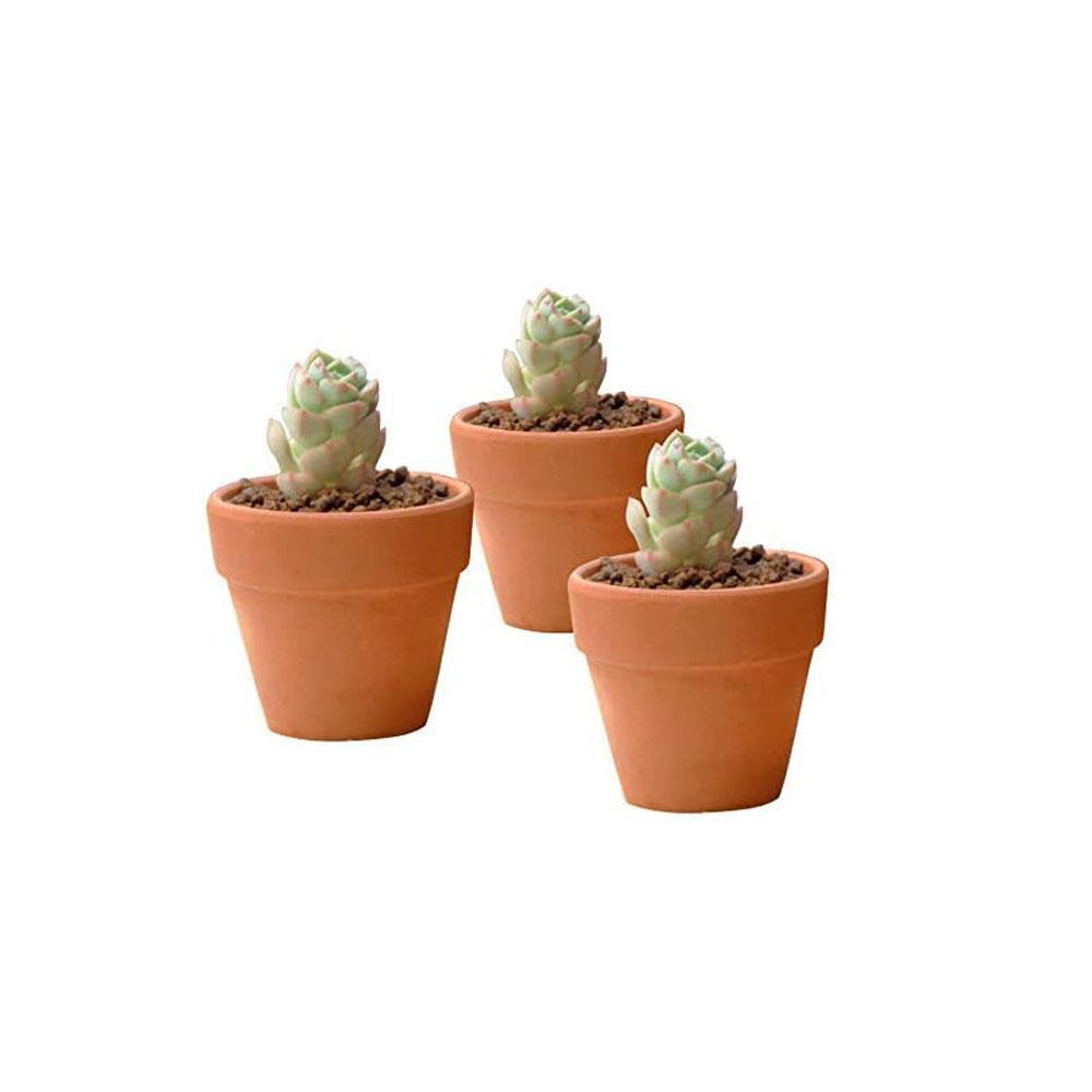 cheap terracotta ceramic nursery flower planters pots wholesale picture 3
