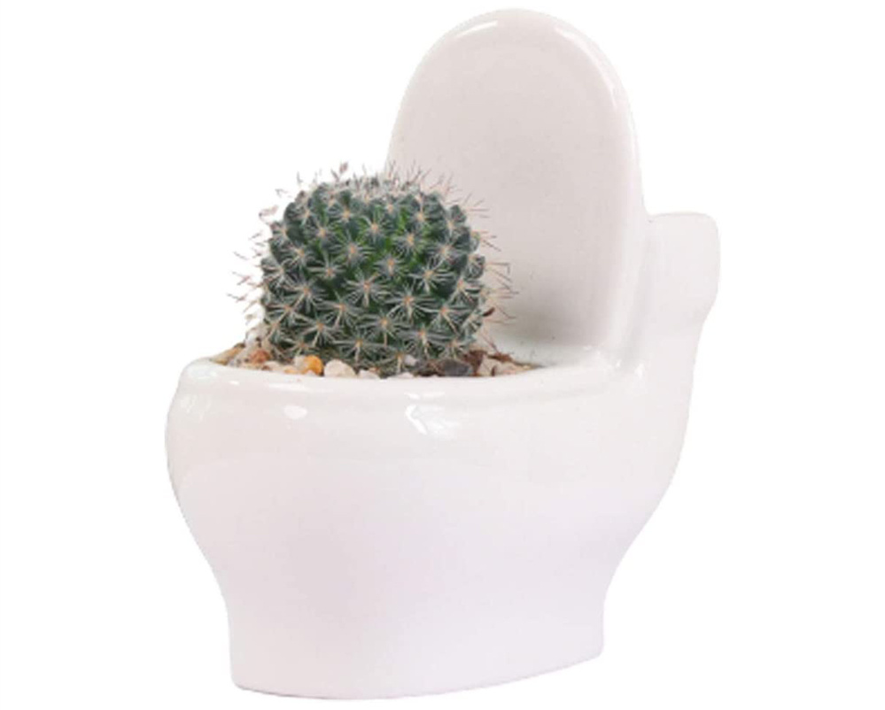 Unusual Funny Oddish Ceramic Toilet Planter Plant Pot